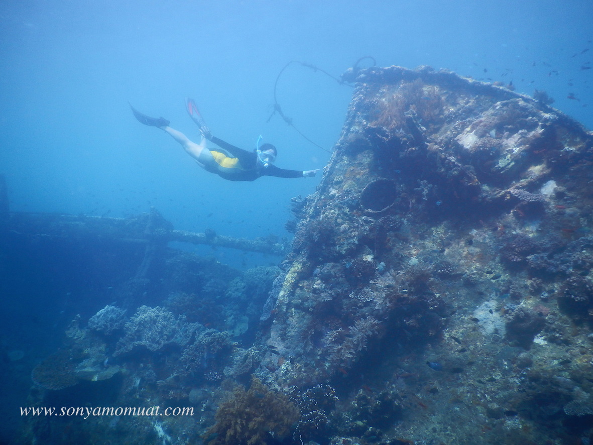 Japanese Shipwreck Amed Bali snorkeling