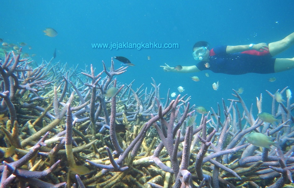 wisata pulau seribu jakarta snorkeling