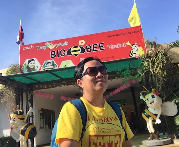 big bee phuket 6