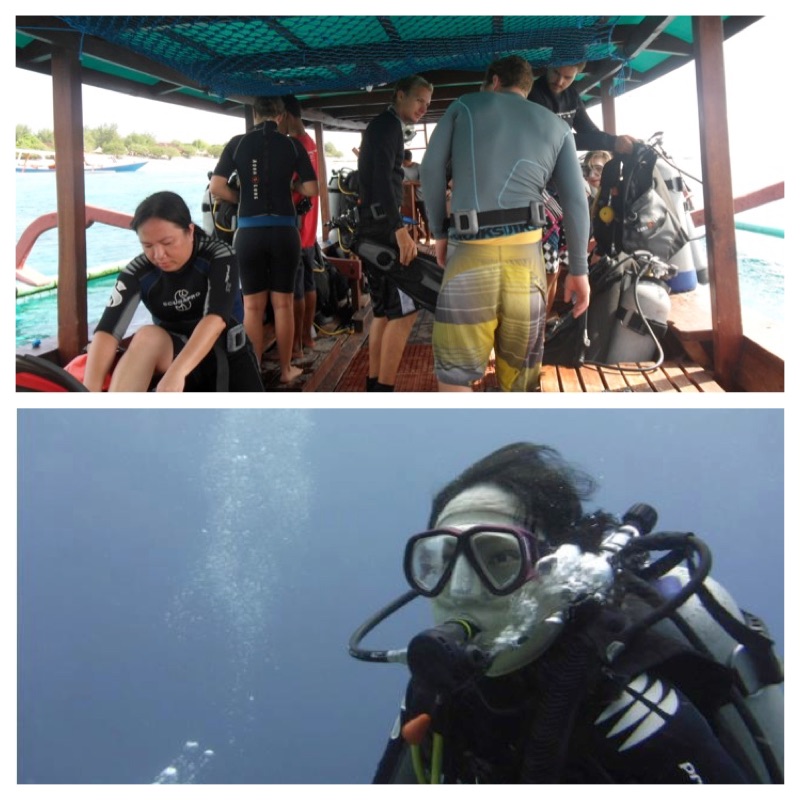 diving sea snake lombok 4