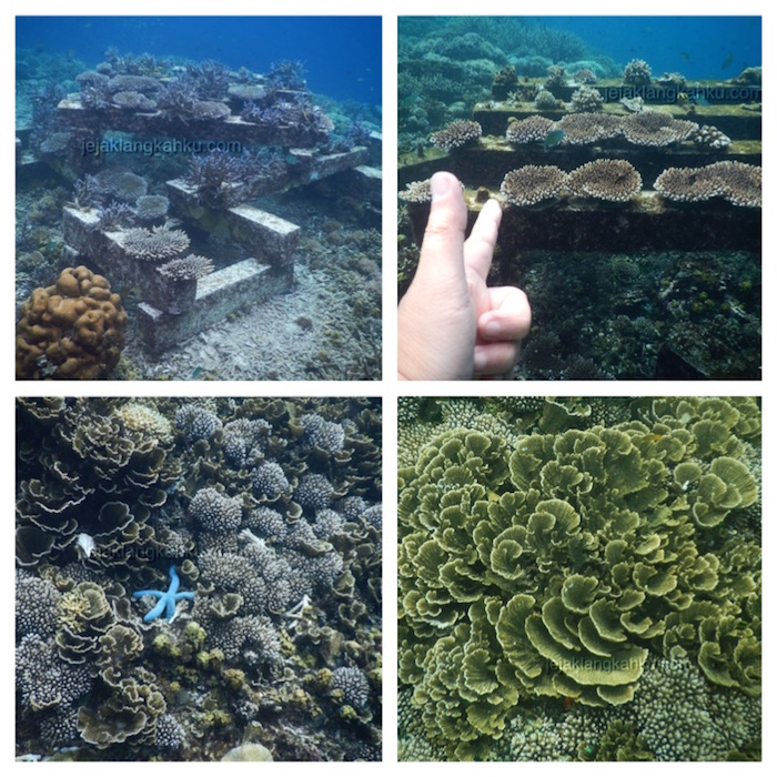 underwater-gili-bidara-lombok-2