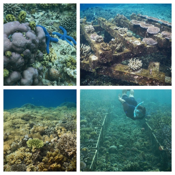 underwater-gili-bidara-lombok-3