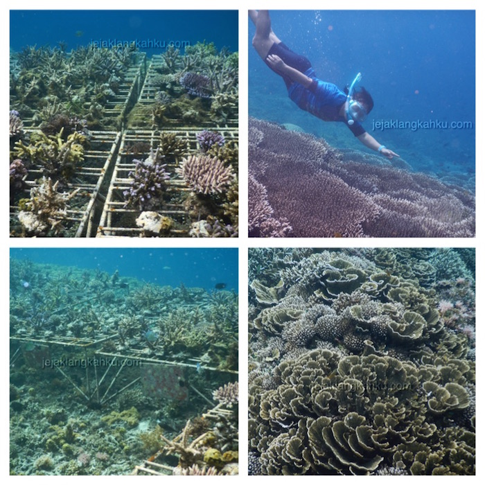 underwater-gili-bidara-lombok-4